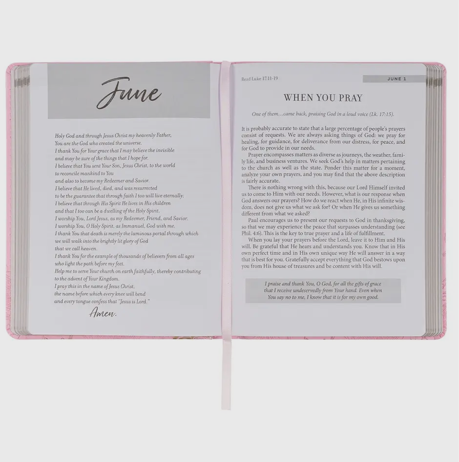 Devotional New Beginnings Pink Flexcover