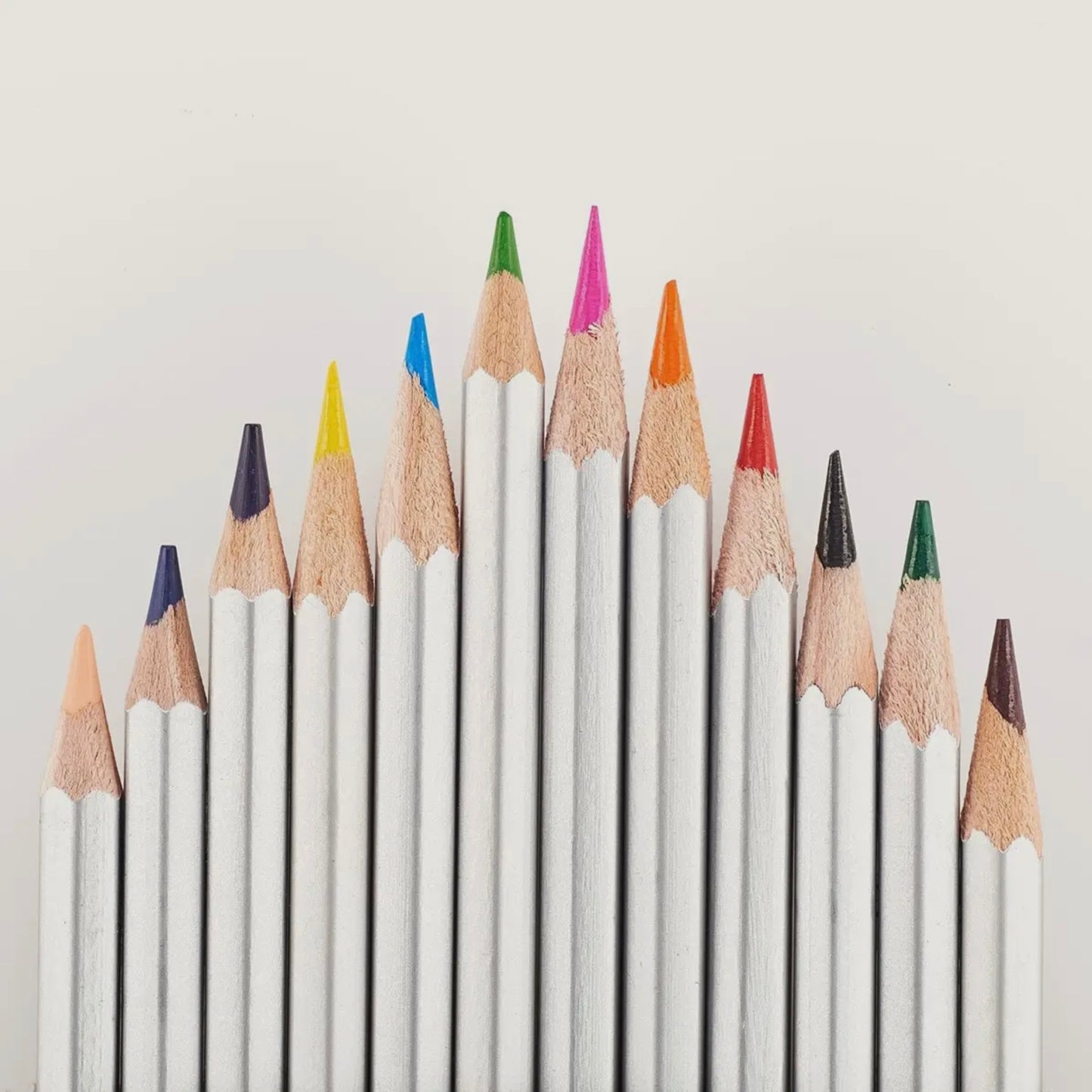 Coloring Pencils Veritas 12/set