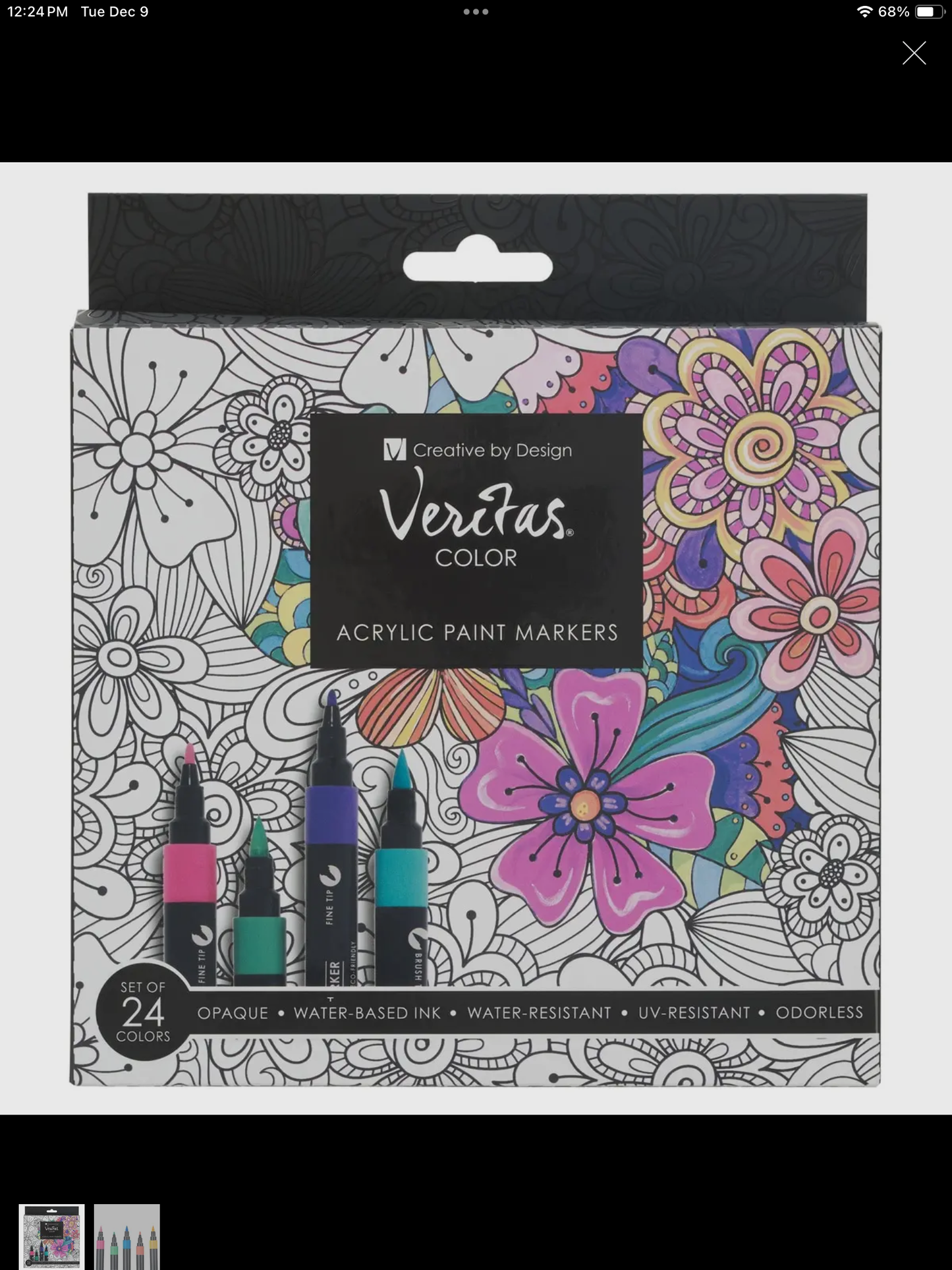 Acrylic Paint Pens 24pc Set